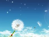 阳光明媚的夏天唯美头像