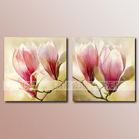 水养植物|玻璃花瓶的必备搭档哦^