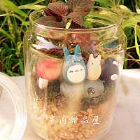 diy微景观迷你植物