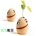 会长字会祝福的植物