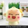 爱情侣悠嘻猴diy迷你植物