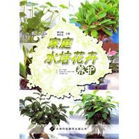 家庭水培花卉养护