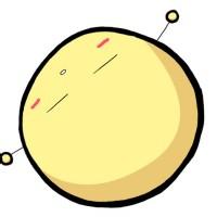 室内桌面植物花卉盆栽