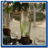 水培花卉玻璃瓶p