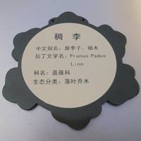 名贵树木标志牌花卉介绍牌