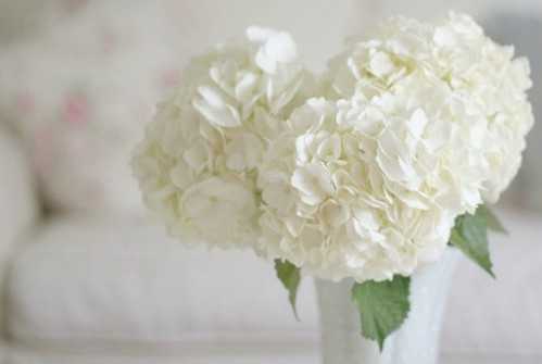 以唯美意境为主的头像