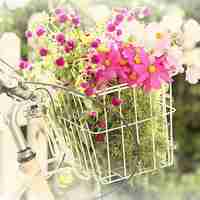 景意境个性微信头像