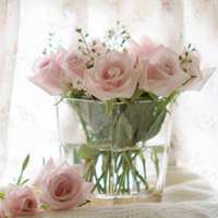 意境头像追忆似水流年;