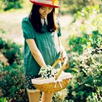 眉清目秀的森系意境女生微信头像