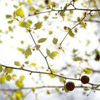 好看的意境头像大图