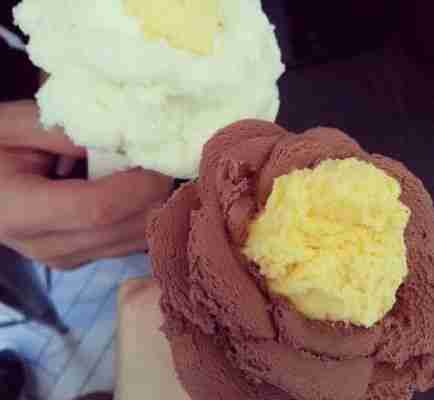 微信头像花朵冰淇淋