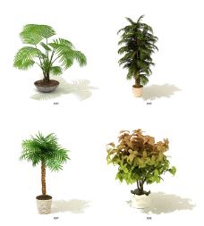 盆栽植物免费下载