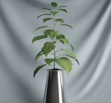 绿色植物盆栽游戏装饰模型