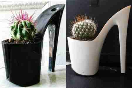 组图高跟鞋盆栽成时尚