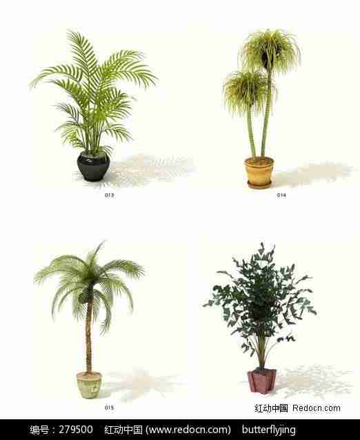 室内盆栽三维模型