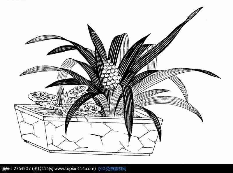 花草盆栽图案