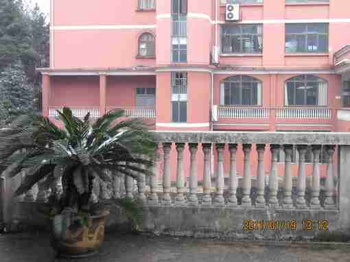 盆栽topitme收录优美图片