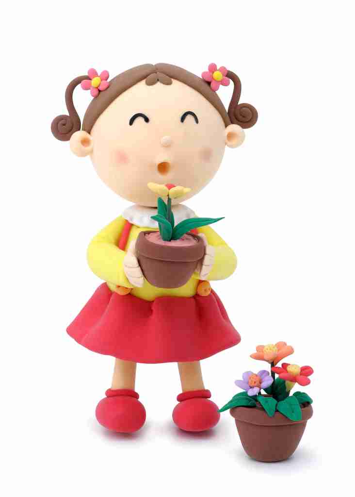 免费下载漂亮盆栽