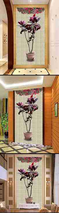 巴豆盆栽艺术园艺景观家庭园艺景观玄关