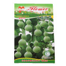 台办公室盆栽种植