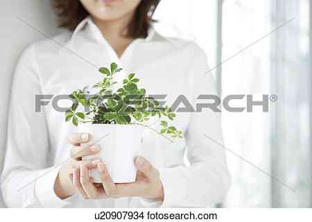 美女|拿着|盆栽