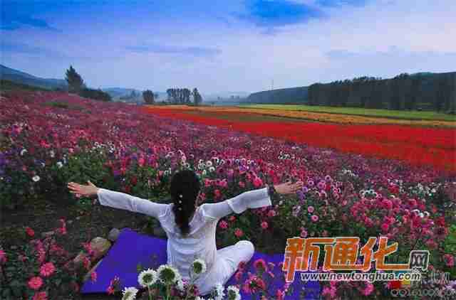 花海瑜伽江沿五队