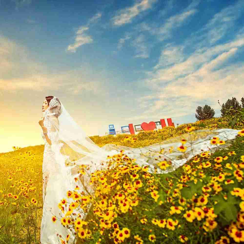 花海_郑州金夫人婚纱摄影