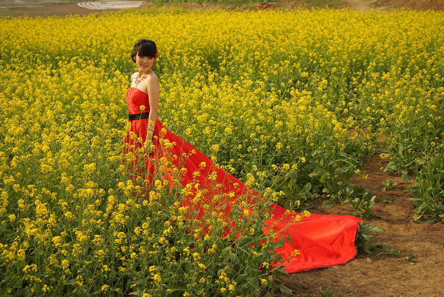 花海情怀摄影图片生活摄影