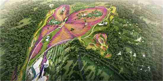 龙泉蔚然花海开门迎客