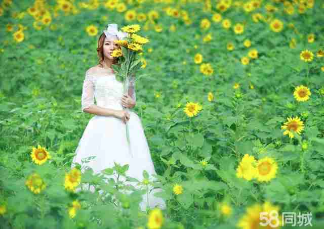 花海_芜湖玛萨婚纱摄影作品欣赏