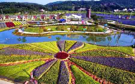 大唐花海团购大唐花海双人票一张团购