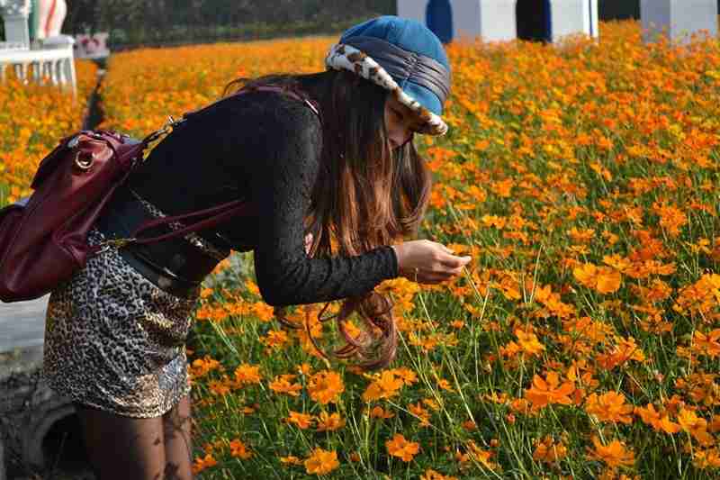 花海花海美丽说