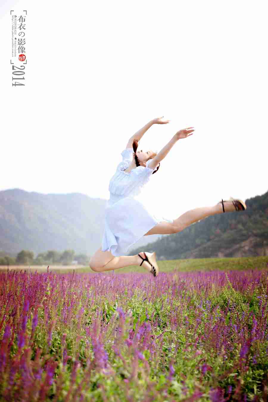 舞动花海摄影图片生活摄影