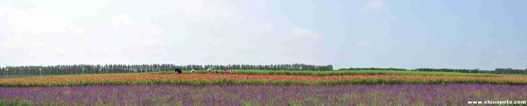 名山花海萝北光影视界俱乐部