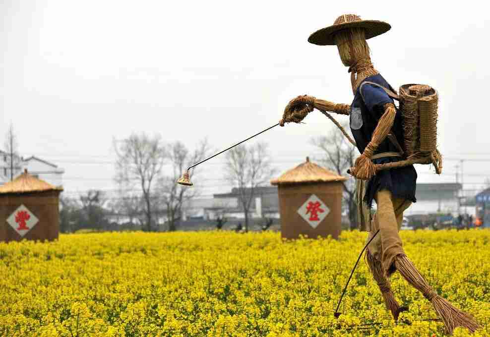 图说中国金黄花海引游人稻草雕塑