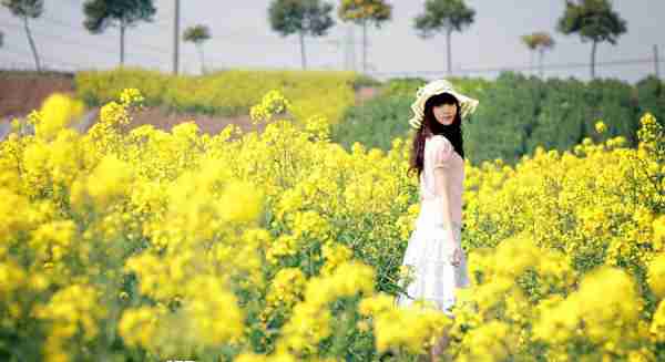 心若花海的微信背景图片大全