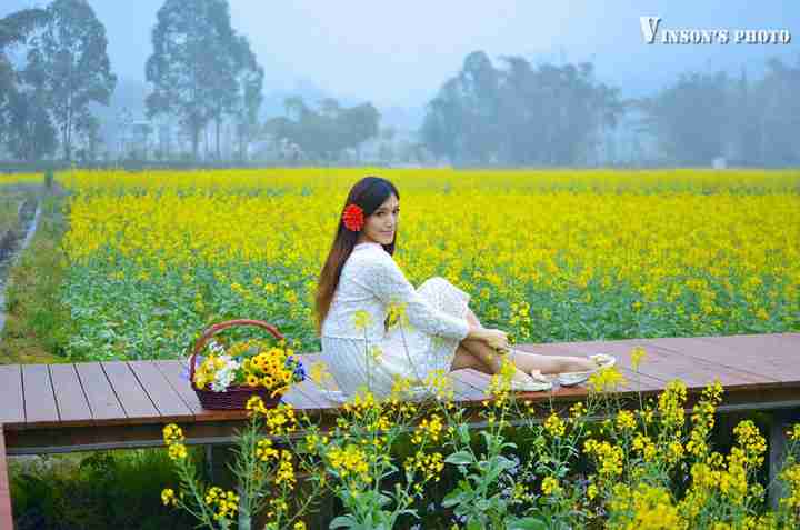 迷人花海迷人妹摄影图片花都红山村人像摄影