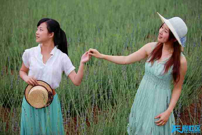 让站在千余亩花海的人们仿佛置