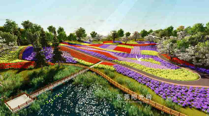 清溪百亩花海世界五一迎客