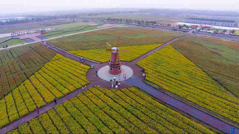 形态的秋季花海