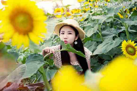 微·映像作品集仁义花海向日葵之旅上集!