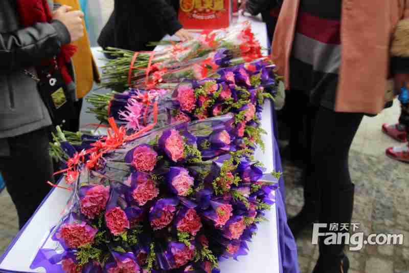 恒达星湖花海外景图效果图苏州相城恒达星湖花海