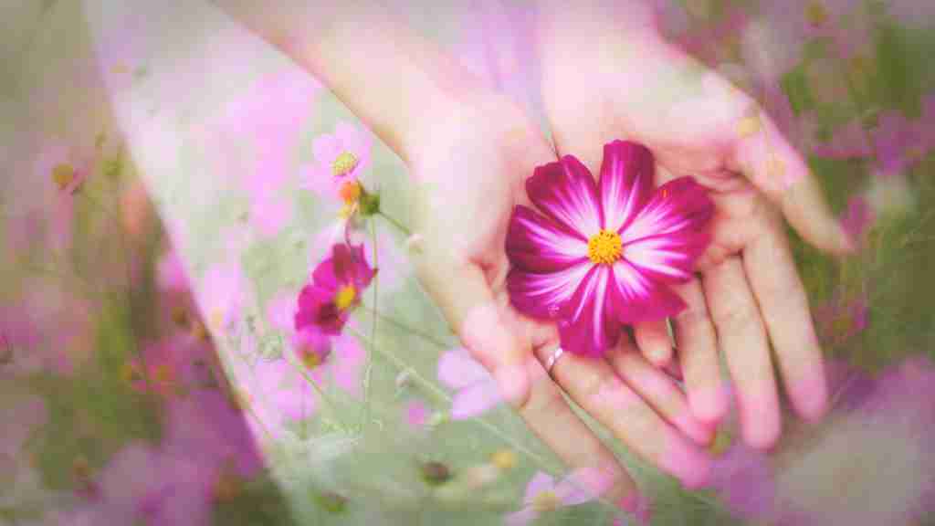 绝美色彩的花海人像高清摄影图赏集中关村在线