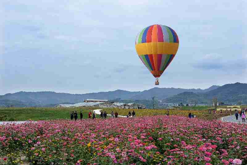 成都蔚蓝花海新春有约有哪些好玩的活动