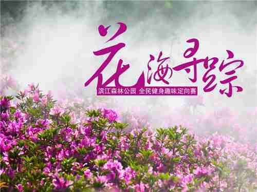 滨江森林公园花海寻踪寻宝活动