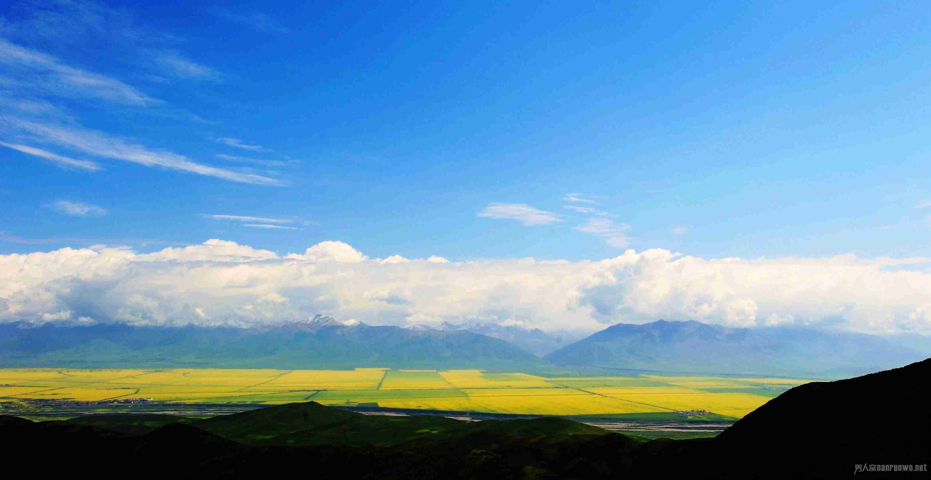 天地有大美花海门源川