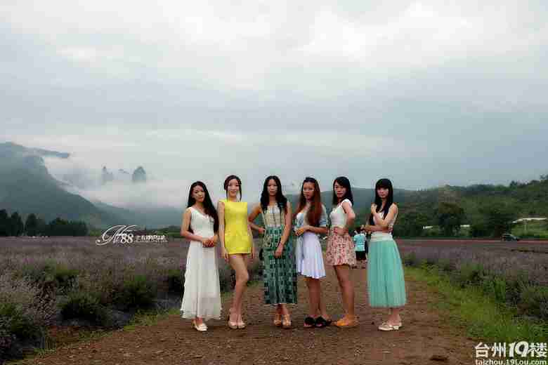 你是我的那一片花海i