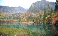 九寨沟油画般的五花海图片