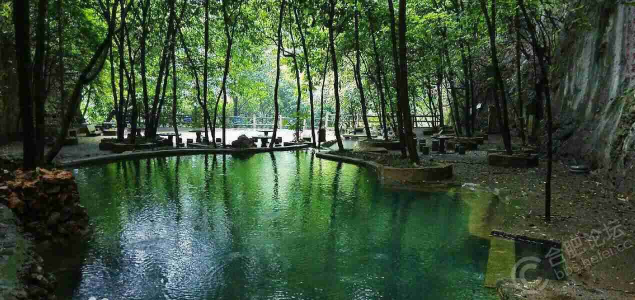 丫山花海石林踏春一日游