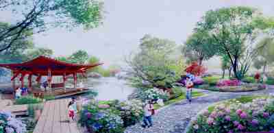 城庆前去看一片梦幻花海组图